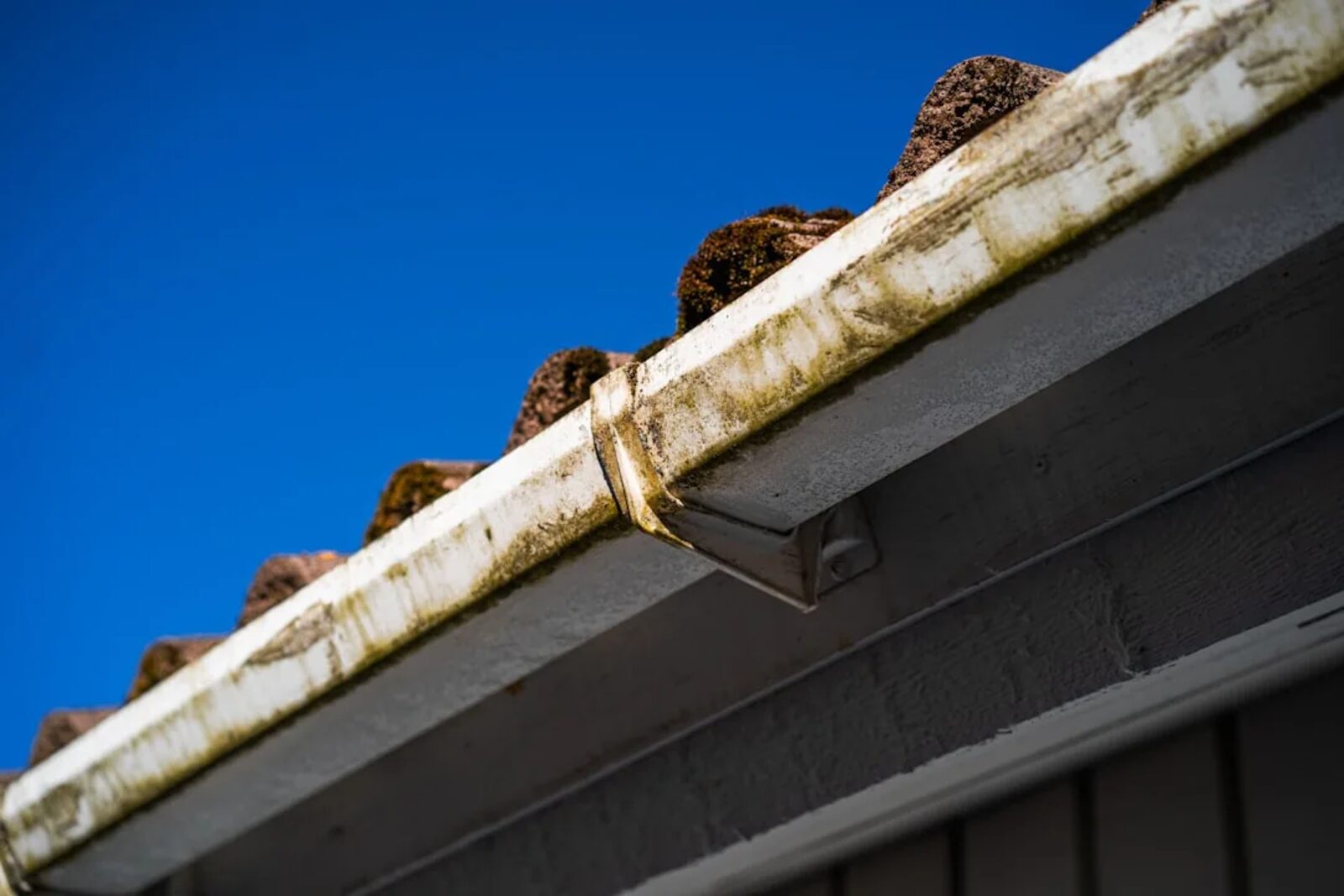 Moss and debris building up in the gutter of an older home, a deferred repair waiting to compound