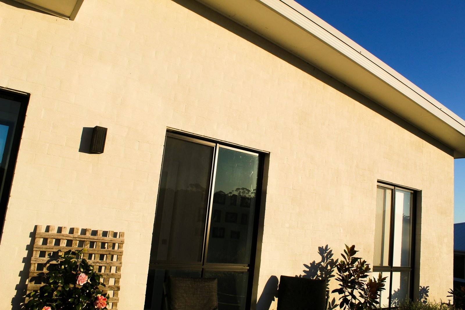 Detached accessory dwelling unit exterior with a private patio in a Bay Area backyard