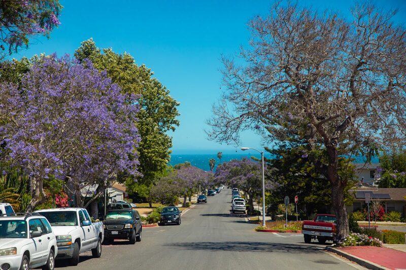 Walnut Creek ADU Rules: What Property Owners Need to Know